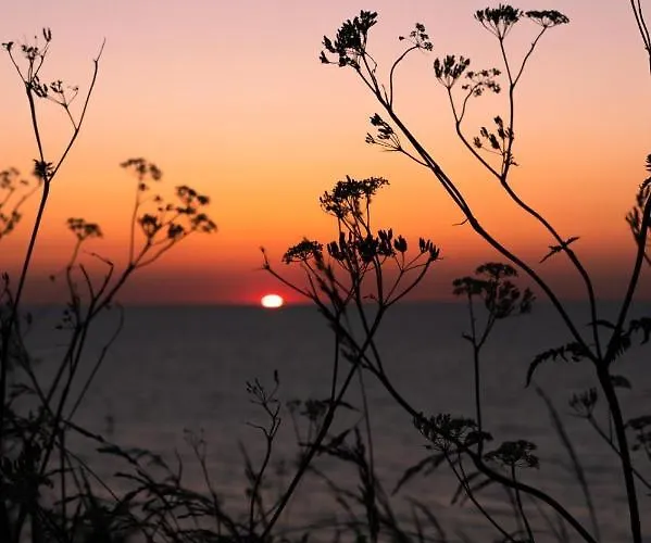 Couette-café Brise Du Large - Maison D'ault *